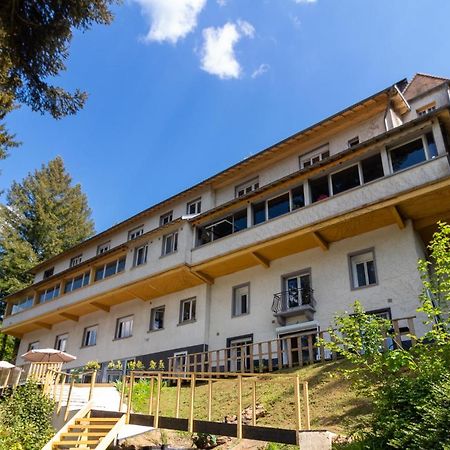 Le Chalet Du Lac Le Chatenet-en-Dognon Exterior photo